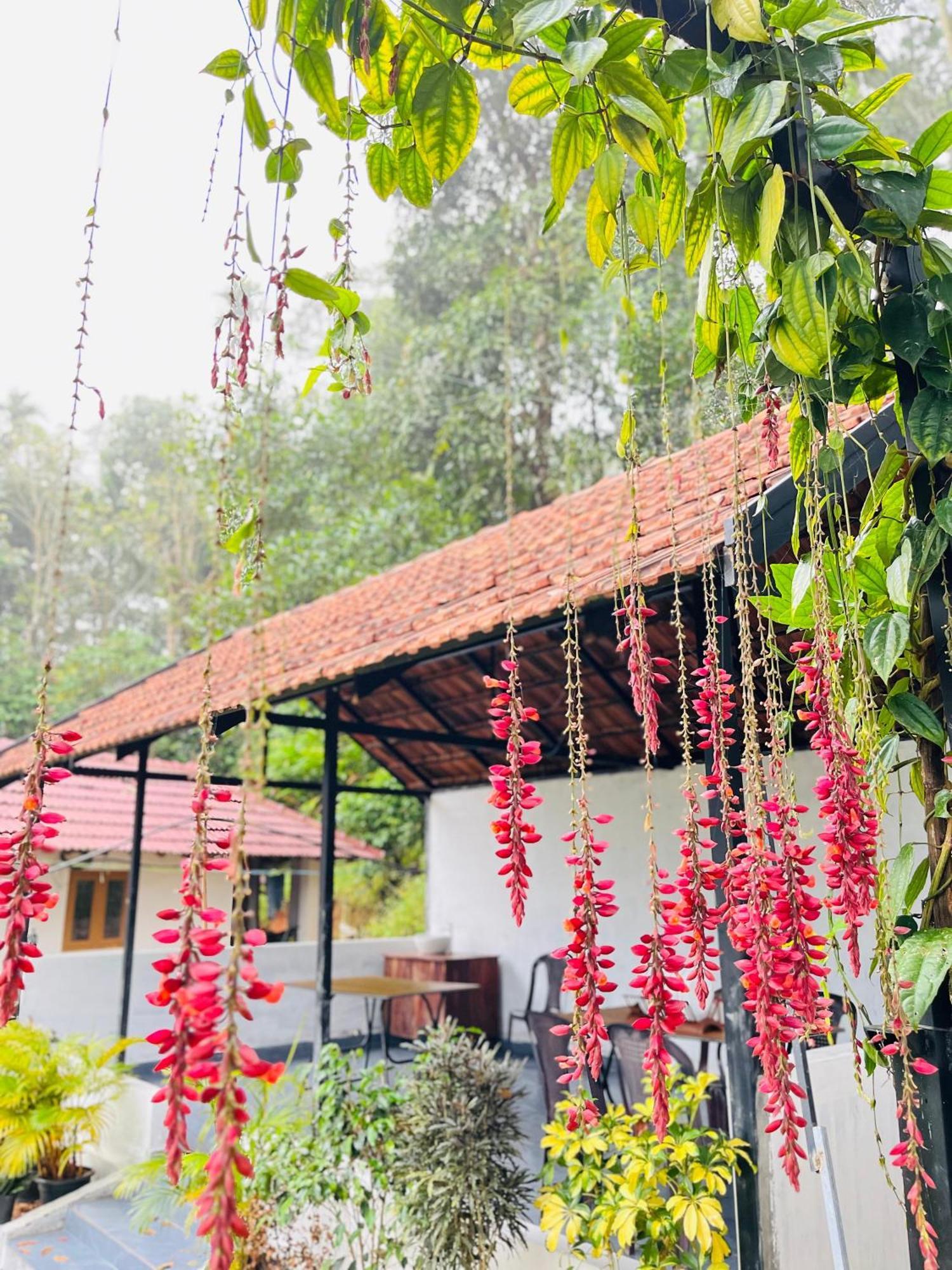 Partho Home Stay Padinjarathara Ngoại thất bức ảnh